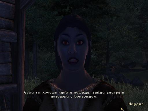 Elder Scrolls IV: Oblivion, The - Дневник имперского гастарбайтера. Том третий.